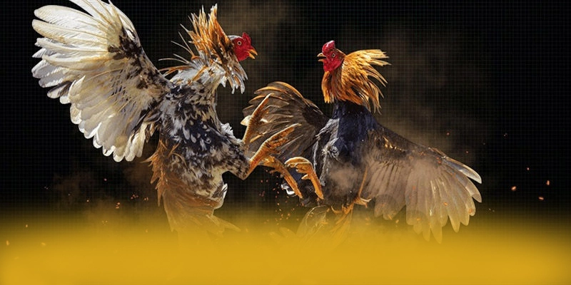 Hệ thống nạp rút tiền tiện lợi tại BET88