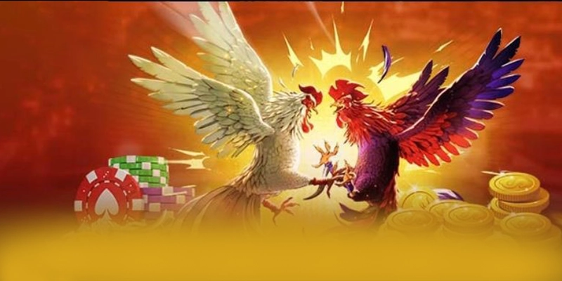 Đánh giá FB88 - Cổng game bài được tin dùng 2026